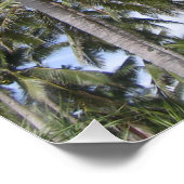 Poster Palmiers tropicaux (Coin)