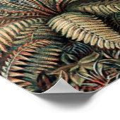 Poster Palmiers vintages Ernst Haeckel (Coin)