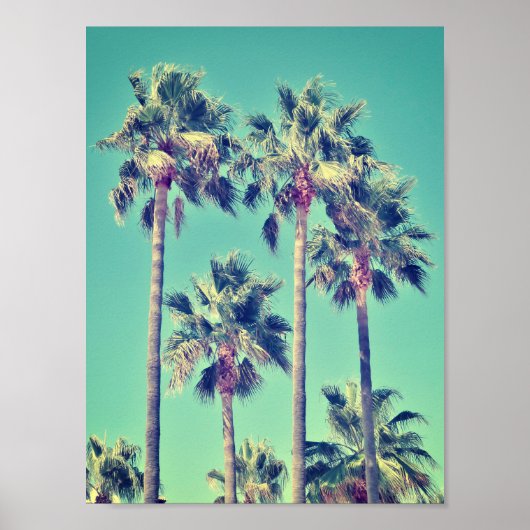 Poster Palmiers Vintages tropicaux sur Turquoise vert (Devant)