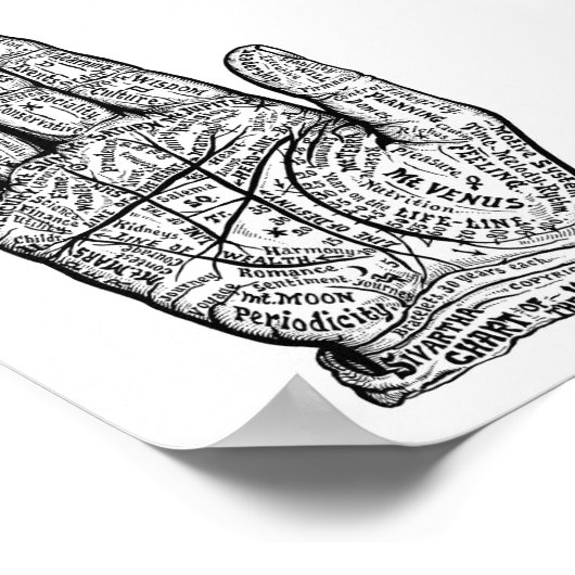 Poster Palmisme (Coin)