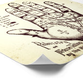 Poster Palmisme (Coin)