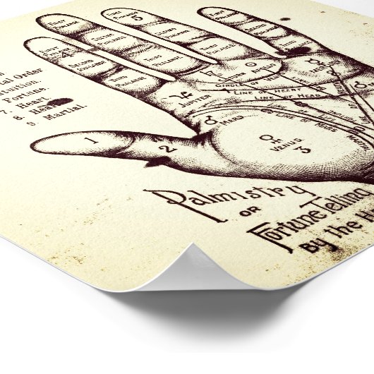 Poster Palmisme (Coin)