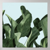 Poster Palms Celadon (Devant)