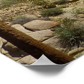 Poster Palms perdus Oasis I au parc national de Joshua Tr (Coin)