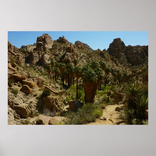 Poster Palms perdus Oasis II au parc national de Joshua T (Devant)