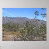 Poster PalmSprings (26) (Devant)