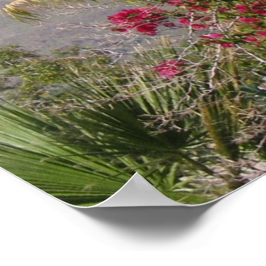 Poster PalmSprings (4) (Coin)