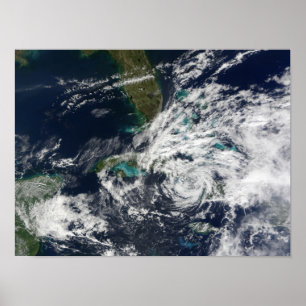 Poster Paloma, ouragan