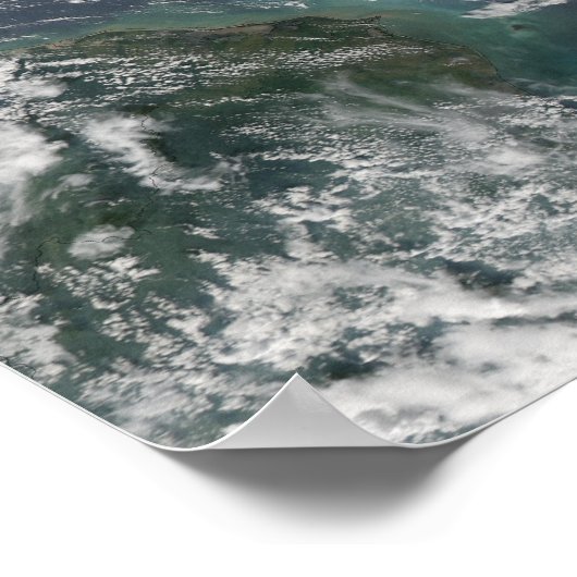 Poster Paloma, ouragan (Coin)