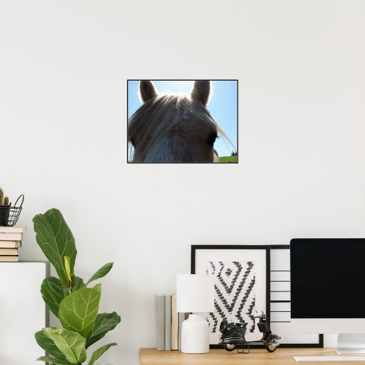 Poster Palomino (Bureau à domicile)