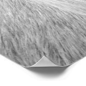 Poster Palomino en noir et blanc (Coin)