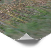 Poster Palomino Gallois Pony Courant En Longue Herbe (Coin)