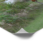 Poster Palomino Gallois Pony Stallion Courant (Coin)