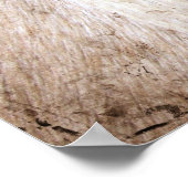 Poster Palomino Horse Grunge (Coin)