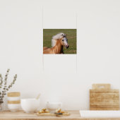 Poster Palomino Welsh Pony Headhot Mane Flow (Cuisine)