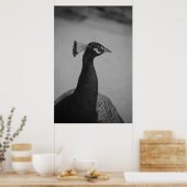 Poster Palos Verdes Peacock (Cuisine)