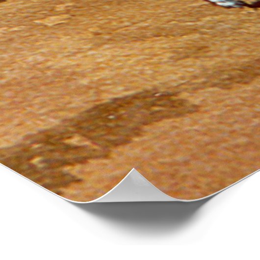 Poster PALS par SHARON SHARPE (Coin)