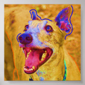 Poster Palu (Devant)