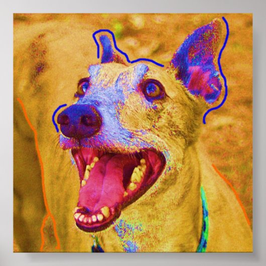 Poster Palu (Devant)