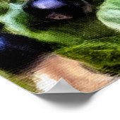 Poster Pamela Storch - Blueberry Bush Serenade (Coin)