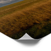 Poster Pampas (Coin)