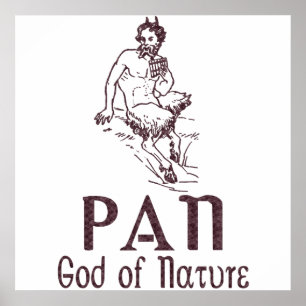 Poster Pan