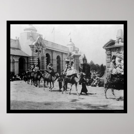 Poster Pan Am Expo Camel Parade 1901 (Devant)
