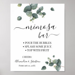 Poster Pancarte de Baby Shower de Mimosa de verdure d'euc