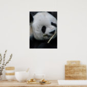 Poster Panda (Cuisine)
