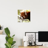 Poster Panda (Bureau à domicile)