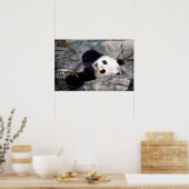 Poster Panda (Cuisine)
