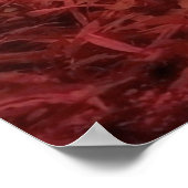 Poster Panda Bear (Coin)