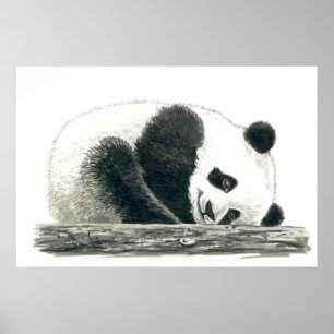 Poster Panda bear