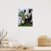 Poster Panda Bears (Cuisine)
