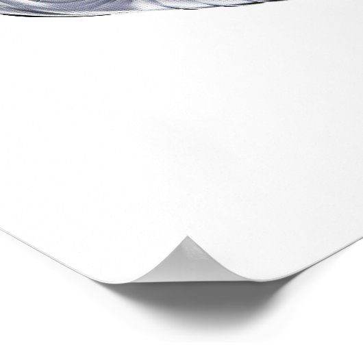 Poster Panda Bears Jiu-Jitsu (Coin)