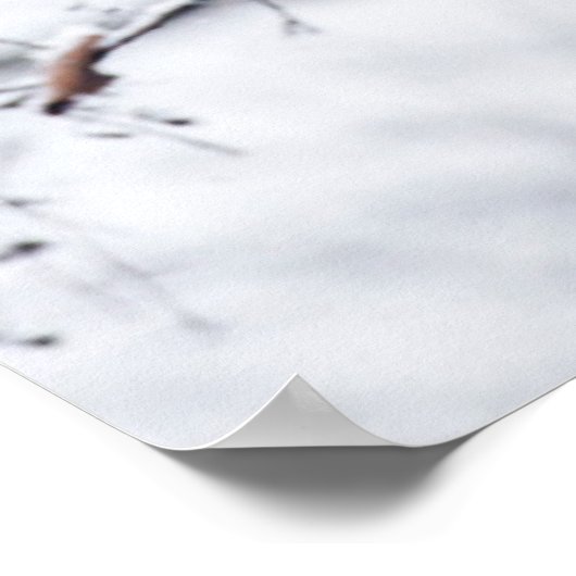 Poster Panda bébé dans l'arbre (Coin)