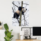 Poster Panda bébé dans l'arbre (Bureau à domicile)