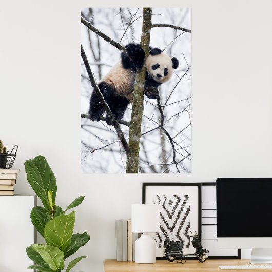 Poster Panda bébé dans l'arbre (Bureau à domicile)