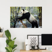 Poster Panda debout (Bureau à domicile)