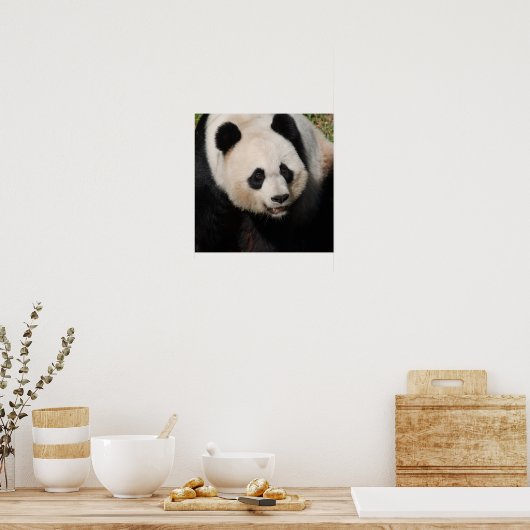 Poster Panda Géant Cute (Cuisine)