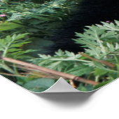 Poster Panda géant dans l'herbe, vallée de Wolong, Sichua (Coin)