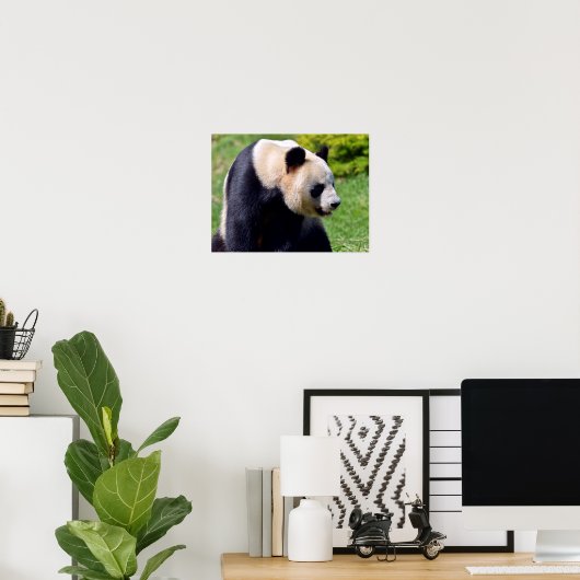 Poster Panda géant de Closeup vu du profil (Bureau à domicile)