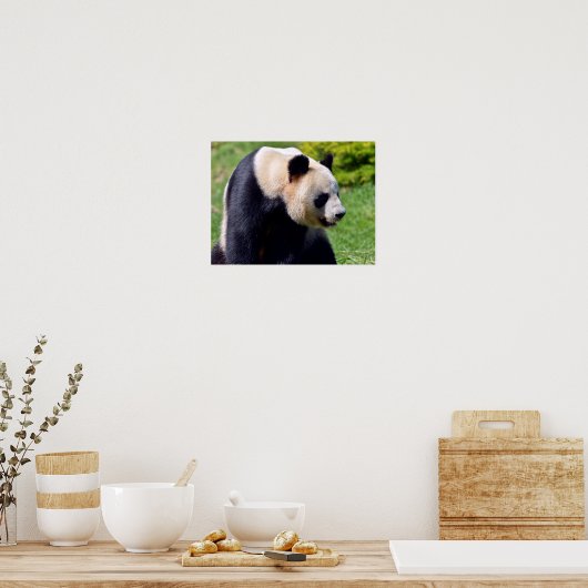 Poster Panda géant de Closeup vu du profil (Cuisine)