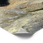 Poster Panda géant endormi claqué sur un rocher (Coin)