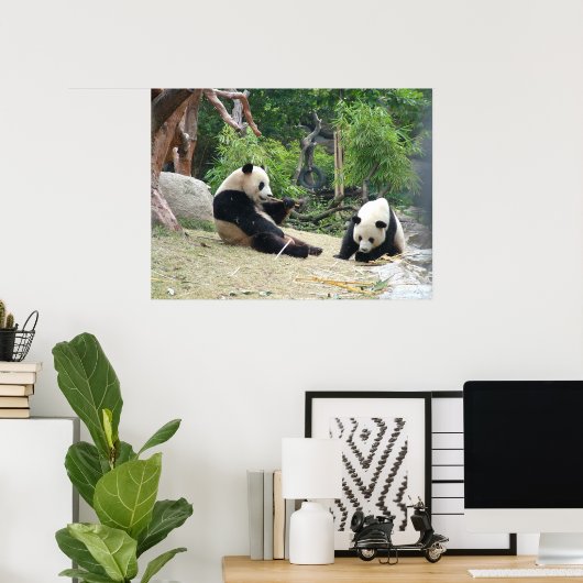 Poster Panda géant et Bambou (Bureau à domicile)