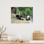 Poster Panda géant et Bambou (Cuisine)