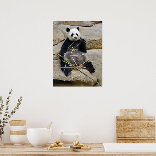 Poster Panda géant mangeant du bambou (Cuisine)
