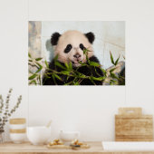 Poster Panda géant penché contre le mur (Cuisine)