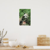 Poster Panda Géant Se Cache Dans L'Herbe (Cuisine)