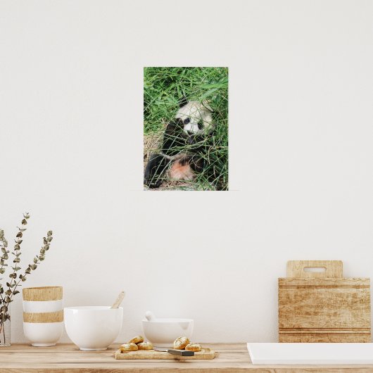 Poster Panda Géant Se Cache Dans L'Herbe (Cuisine)